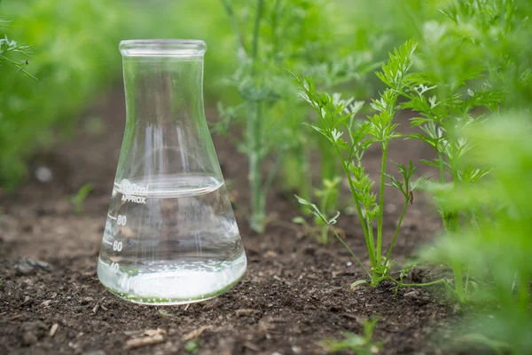 Vloeistof in chemische ware op een achtergrond van planten, meststoffen en pesticiden in de tuin. — Stockfoto