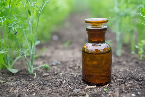 Liquid in chemical ware on a background of plants, fertilizers or pesticides in the garden. — Stock Photo, Image