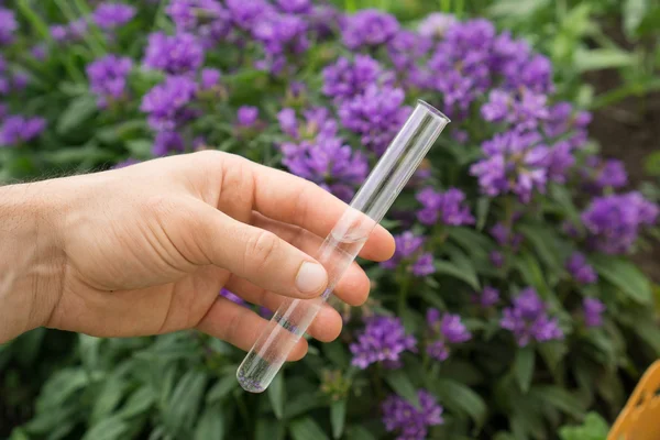 Test tube water in hand, plants in the background. — Stock Photo, Image