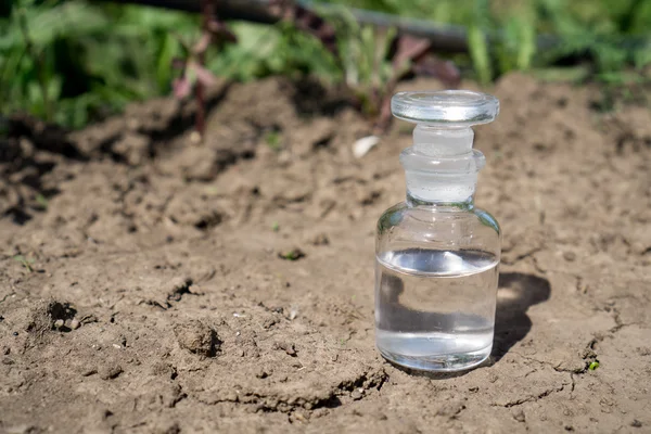 Пляшка з водою або добривом на сухому тріщинному ґрунті — стокове фото