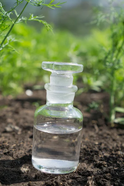 Жидкость в химической посуде на фоне растений, удобрений или пестицидов в саду . — стоковое фото
