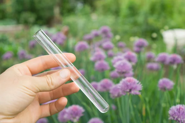 Test tube water in hand, plants in the background. — Stock Photo, Image