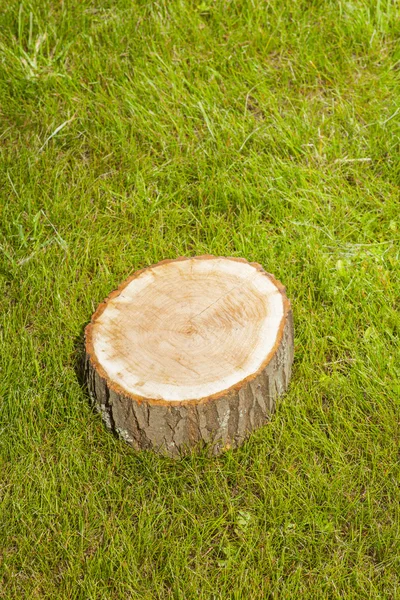 Tronco d'albero sull'erba — Foto Stock