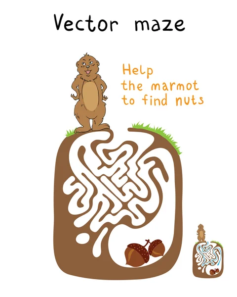 Vector Maze, Labyrinth with Marmot and Nut. — Stock Vector