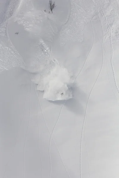 Spray snö, freeride i bergen — Stockfoto