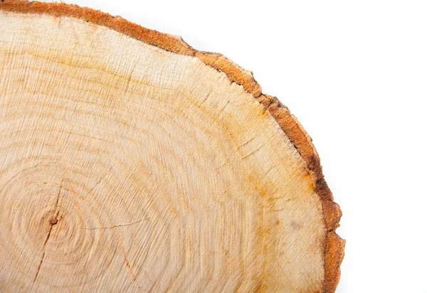 Närbild trä skära konsistens — Stockfoto