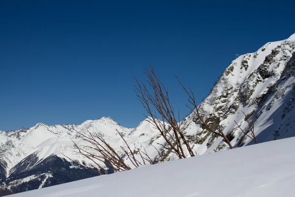 Die berge in krasnaja poljana, russland — Stockfoto