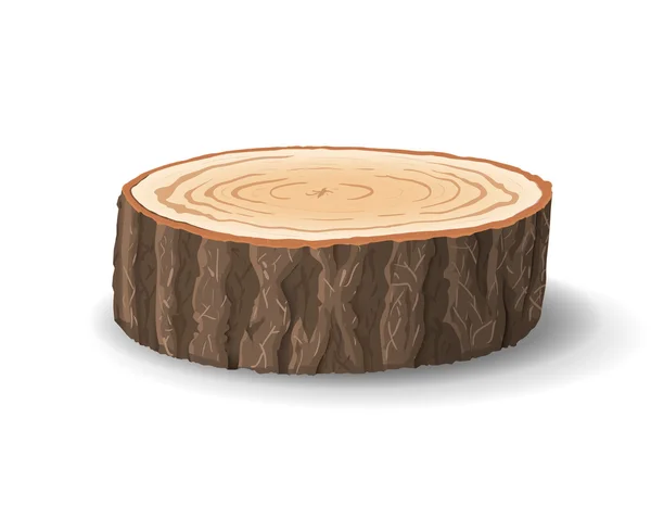 Cross section of tree stump, vector illustration — Stock Vector