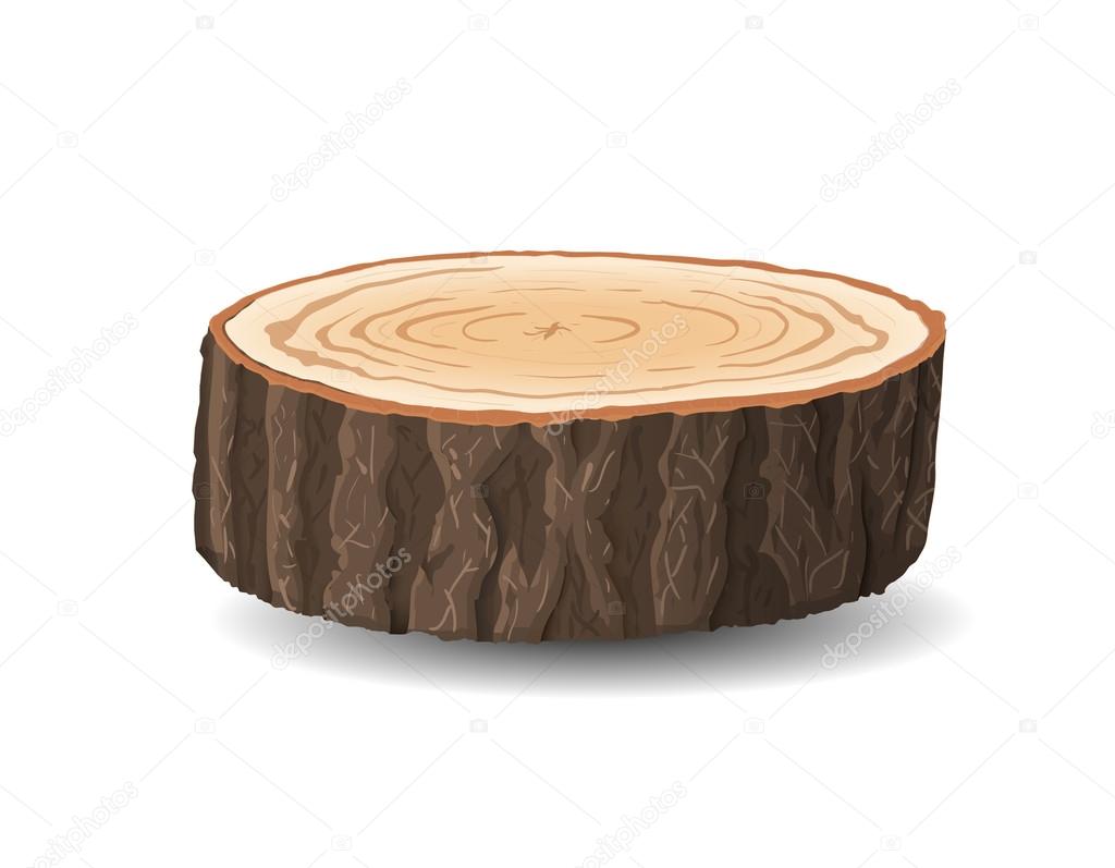 Cross section of tree stump, vector illustration