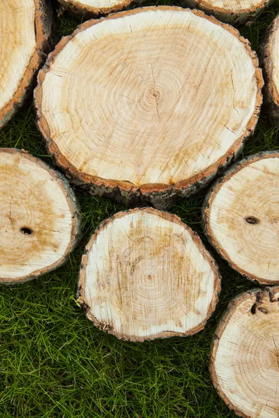 Tree stumps on the grass — Stock Photo, Image