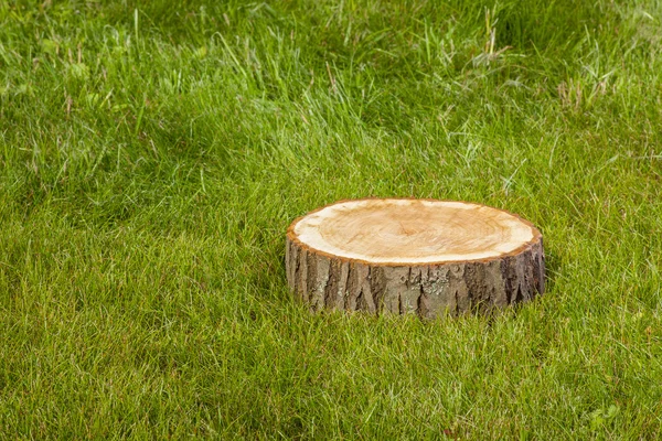 Baumstumpf auf dem Gras — Stockfoto