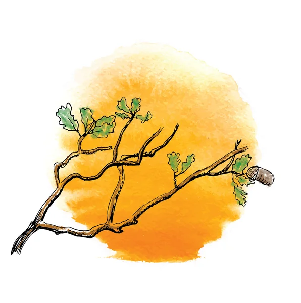 Branch of  oak tree against the sun — Stock Vector