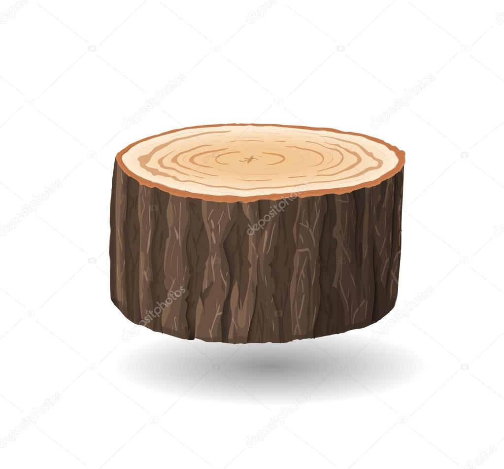 Cross section of tree stump, vector illustration