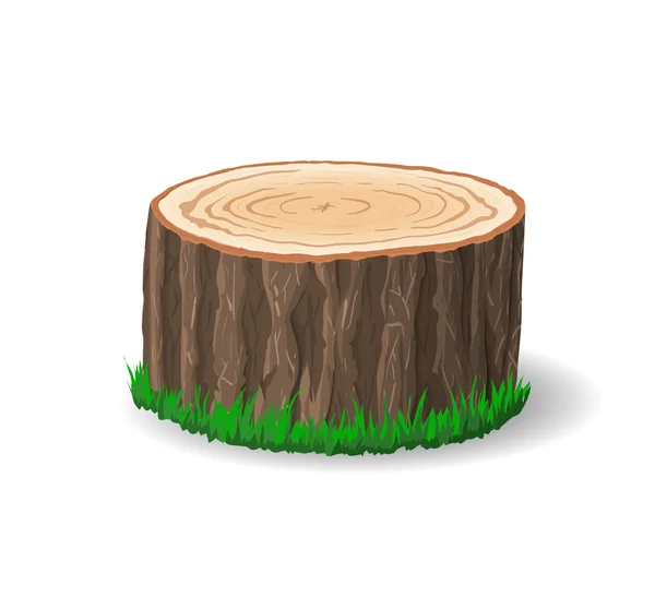Sezione del tronco d'albero, illustrazione vettoriale — Vettoriale Stock