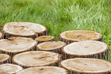 Ağaç kütükleri çimenlerin üzerinde