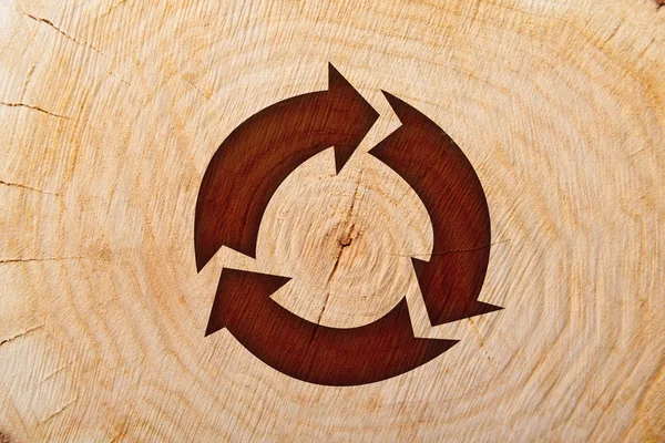 Close-up wooden cut and recycle symbol — Stock Photo, Image