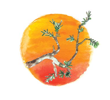 Şube ardıç ağacında güneş karşı vektör