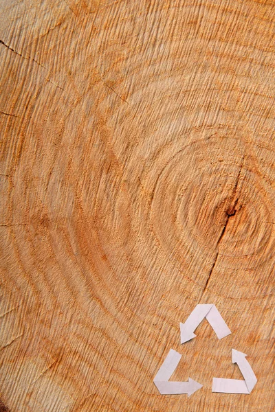 Close-up corte de madeira e reciclar símbolo — Fotografia de Stock