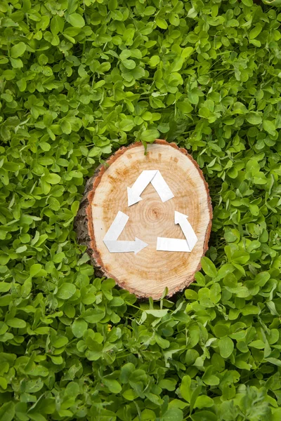 Дерев'яний розріз на траві і символ переробки — стокове фото