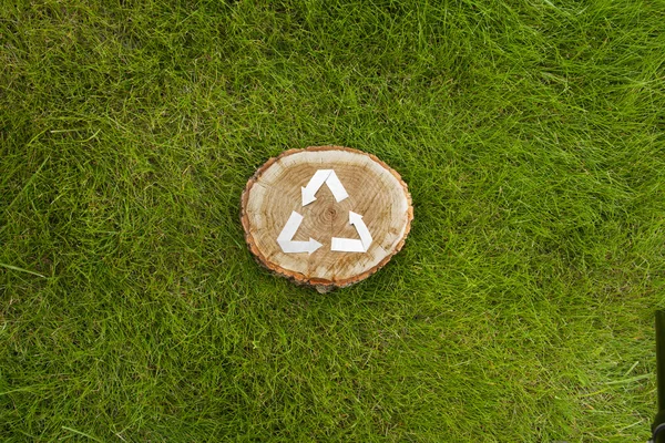 Wooden cut on grass and recycle symbol — Stock Photo, Image