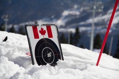 Biatlon kar için hedef