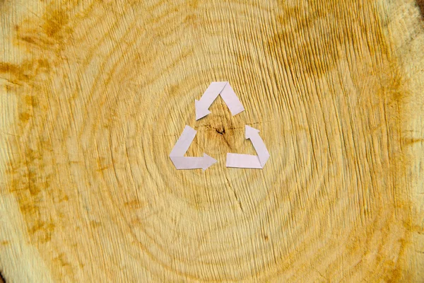 Close-up wooden cut and recycle symbol — Stock Photo, Image