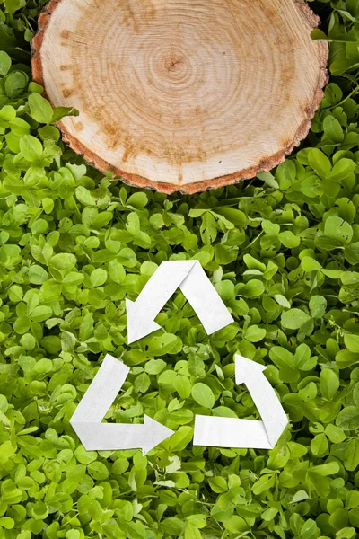 Holzschnitt auf Gras und Recycling-Symbol — Stockfoto