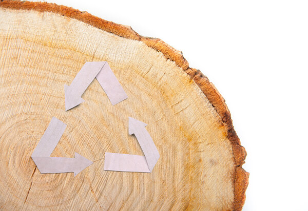 close-up wooden cut texture