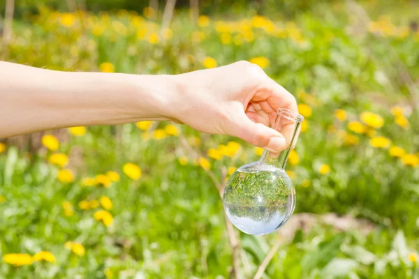 Flacon avec eau claire et plantes vertes — Photo