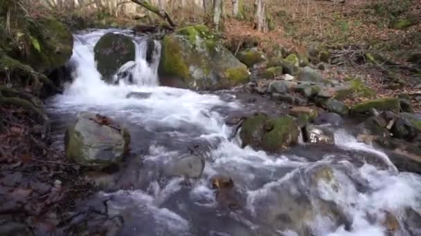 小さな滝渓流 — ストック動画