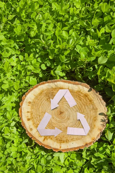Wooden cut on grass and recycle symbol — Stock Photo, Image