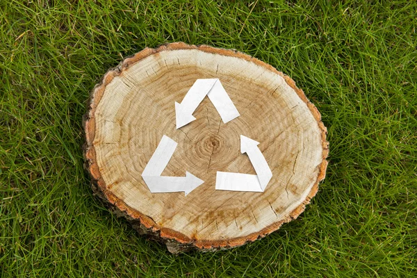 Wooden cut on grass and recycle symbol — Stock Photo, Image