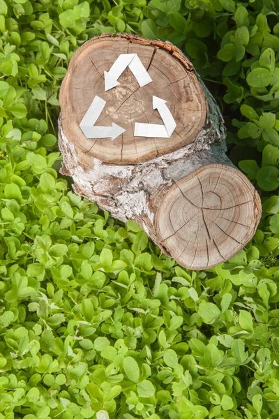 Trä cut på gräs och återvinna symbol — Stockfoto