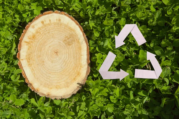 Holzschnitt auf Gras und Recycling-Symbol — Stockfoto