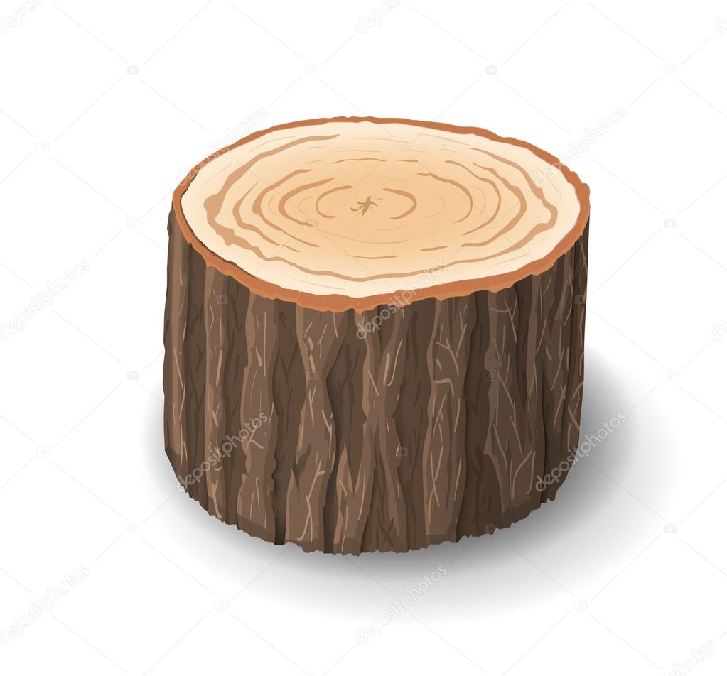 Cross section of tree stump, vector illustration