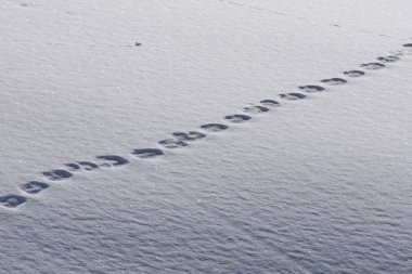 Derin karda insan ayak izleri.