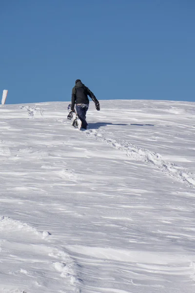 Snowboarder escalando una montaña nevada — Foto de Stock