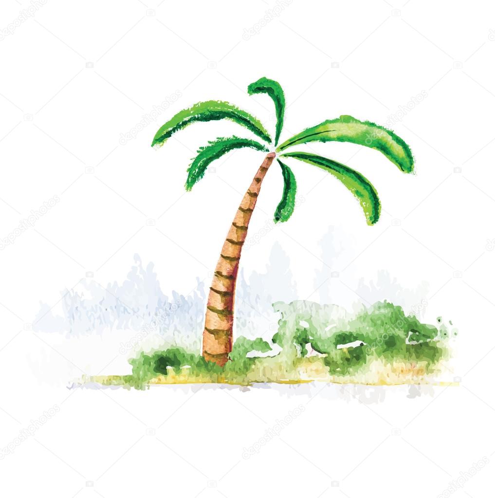 Palm tree, watercolour vector illustration