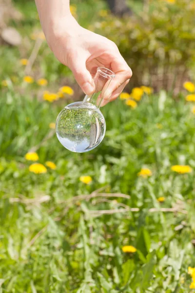 Matraz con agua clara y plantas verdes — Foto de Stock