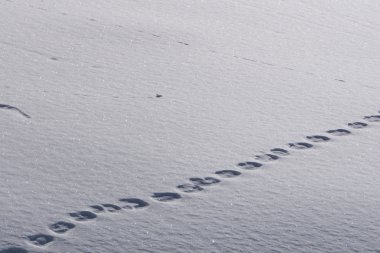 Derin karda insan ayak izleri.