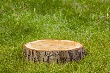 Çimlerin üzerinde ağaç kütüğü