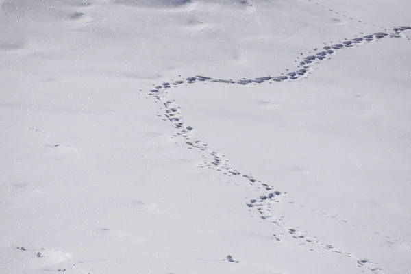 Menschliche Fußabdrücke im Schnee — Stockfoto