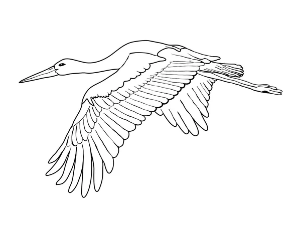 Repülő gólya, vektoros illusztráció — Stock Vector