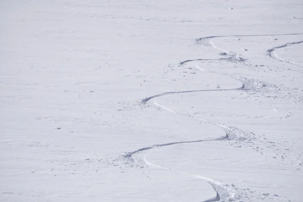 Pistas en una ladera de montaña, freeride en nieve profunda — Foto de Stock