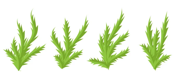 Plantes vertes, jeu de vecteurs de buissons . — Image vectorielle