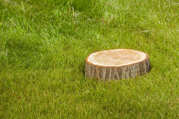 Toco de árvore na grama — Fotografia de Stock