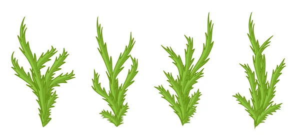 Plantas verdes, arbustos vector conjunto . — Vector de stock