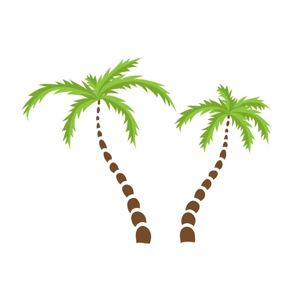 Two Palm trees, vector — Stock Vector