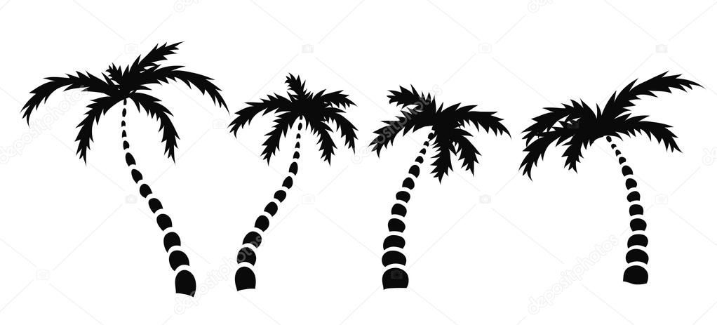 silhouettes of palm trees, vector