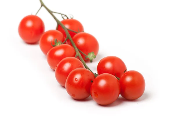 Kilka czerwonych pomidorów Cherry na białym tle — Zdjęcie stockowe